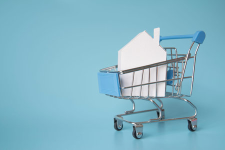 house miniature shopping cart