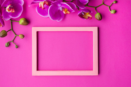 orchid flowers with empty frameの写真素材