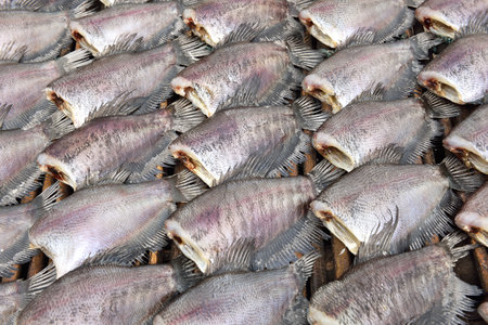 Sun dried salid fish before cooking sell in the market in thailandの写真素材