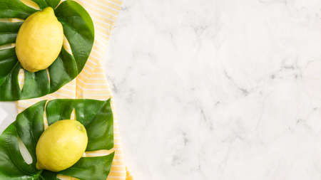 lemons with copy space backgroundの写真素材