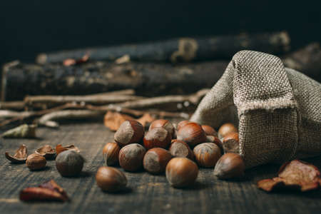close up chestnuts bag. High quality and resolution beautiful photo conceptの写真素材