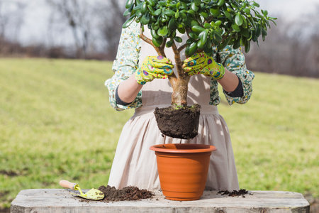 portrait woman gardeningの写真素材
