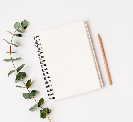 top view notepad with green leafs conceptの写真素材