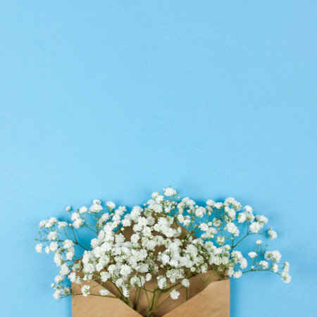 high angle view white baby s breath flowers with brown envelop against blue backgroundの写真素材