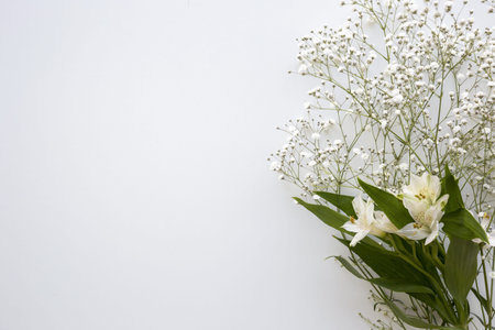 top view baby s breath white lilies flower white background. Resolution and high quality beautiful photoの写真素材
