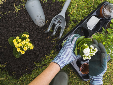overhead view hand holding small fresh potted plant. Resolution and high quality beautiful photoの写真素材