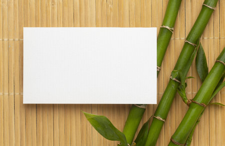 modern copy space white business card bamboo . Resolution and high quality beautiful photoの写真素材