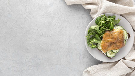top view sandwich with cucumbers salmon plate with copy space. Resolution and high quality beautiful...