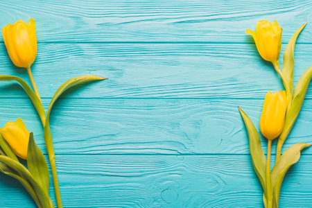 yellow tulips turquoise backgroundの写真素材