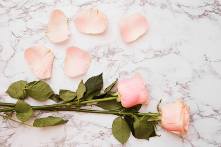 rose flower with petals white marble textured background