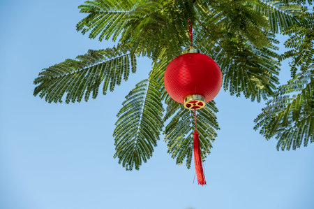Red lanterns are hung on the trees under the blue sky, with the Chinese word "Fu", which means "lucky"の写真素材