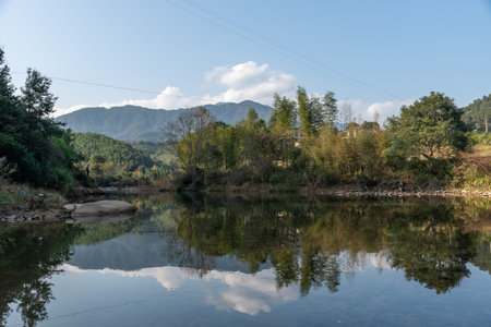 Wild forests and running water in the countryside