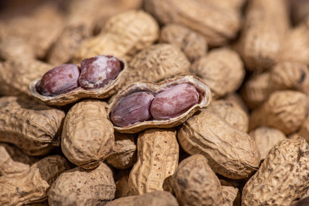 The peeled peanuts are placed among many peanuts