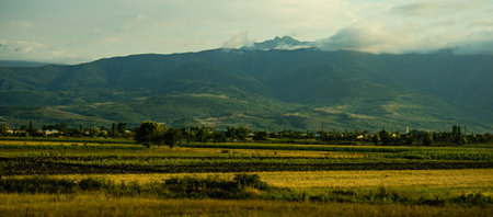 Rural landscape in Central part of Georgia, summer timeの写真素材