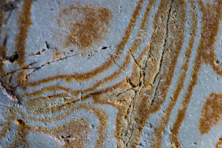 Natural texture of sea stone on the beach aの写真素材