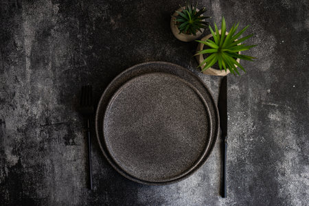 Minimalistic place setting with succulent plants in pot on dark stone backgroundの写真素材