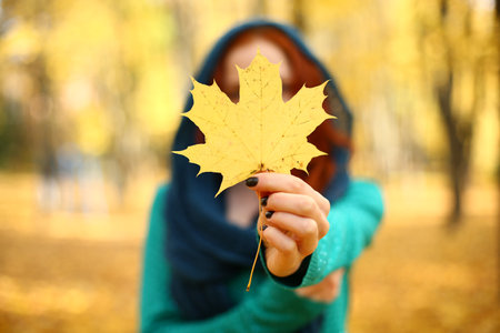 girl holding a yellow maple leaf in autumn. Autumn leaves. selective focus.の写真素材