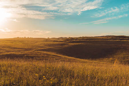 Summer beautiful landscape with field and skyの写真素材