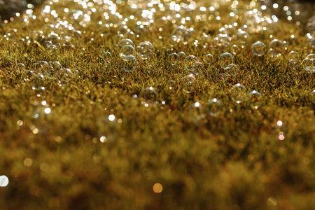 soap bubbles on the grass. selective focus