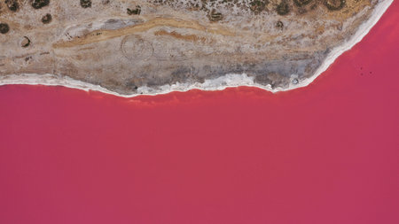 Aerial drone top down photo of a natural pink lake and coast Genichesk, Ukraine. Lake naturally...
