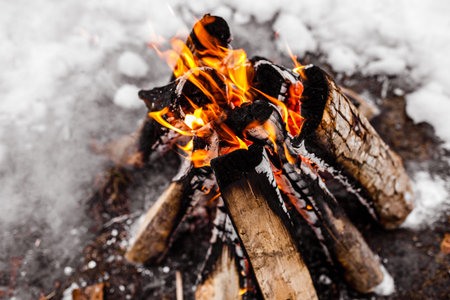 Campfire burns in the snow in the woods.. campfire burning in cold winter. Snow, forest and fire....
