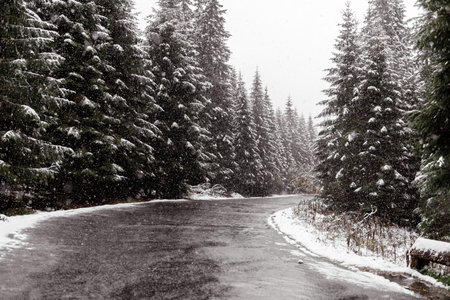 scenic view of the road with snow and mountain and giant trees background in winter season