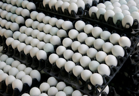 salted egg and duck eggs in the market