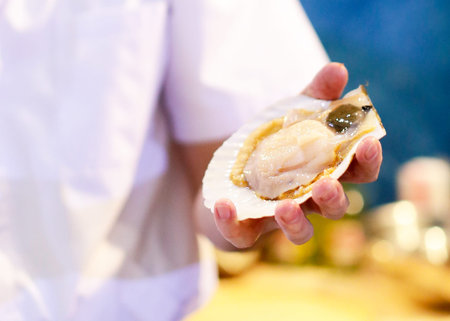 Fresh scallop shell on hand chef, Clean and Open Raw scallopの写真素材