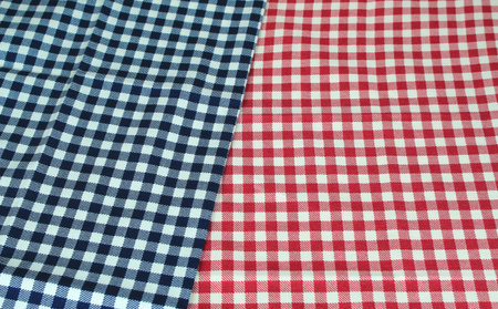 checkered tablecloth red and blue