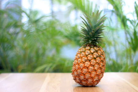 Ripe pineapple on nature leaf backgroundの写真素材