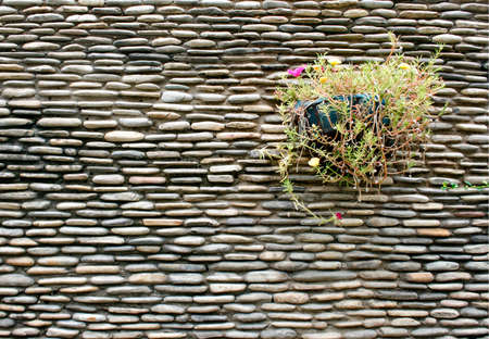 pebble stone wall with flowerの写真素材