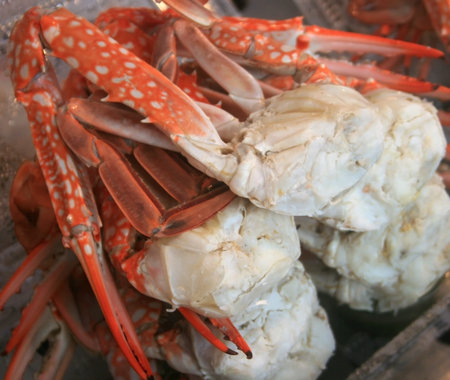 Steamed Crab