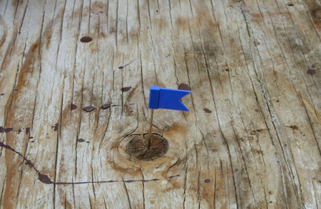 color flag pin on wooden