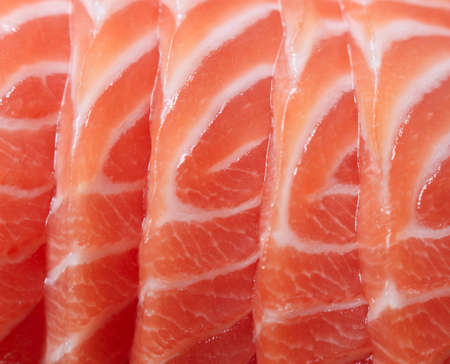 Salmon sashimi - japanese food styleの写真素材