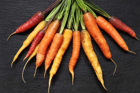 Photography of a bunch of colorful carrots on slate background for food illustrationsの写真素材