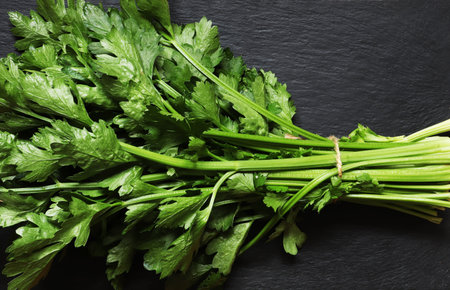 Photography of a bunch of young celery stalks tied like market gardeners for food illustrations