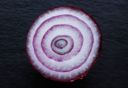 Photography of a red onion cut in half on slate background for food illustrationsの写真素材