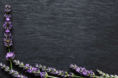Photography of sprigs of lavender on slate background for menus, labels or signsの写真素材