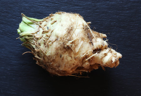 Photography of a little celeriac on slate for food illustrations