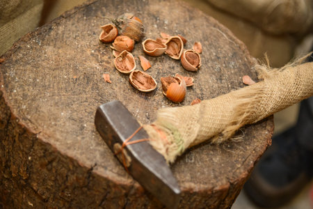 Broken hazelnuts and shells on a wooden log and with a hammer
