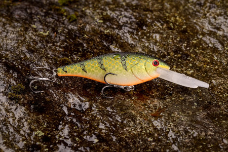 Fishing lure wobbler on a wet stone with moss