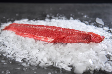 Fresh raw fish steak on ice over dark stone background. Creative layout made of fishの写真素材