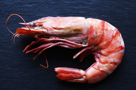 Photography of a grilled giant gambas prawn on slate background for food illustrations / Also called black tiger shrimp, this crustacean can reach a length of 17 cmの写真素材