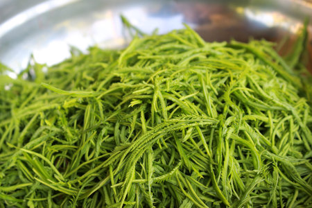Climbing Wattle or Acacia pennata vegetables