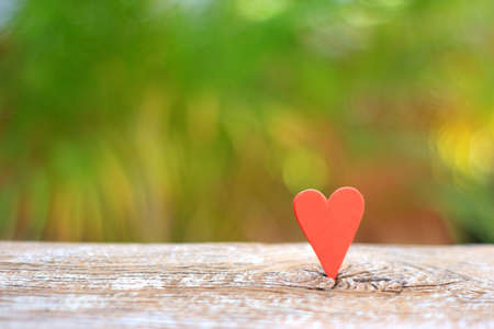 February 14 with red heart , valentines day appointment conceptの写真素材