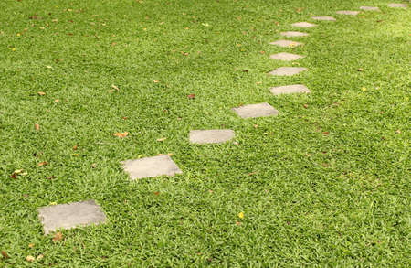Stone path on the green grass.の写真素材