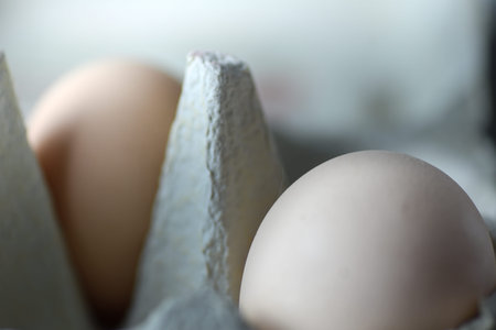 Closeup of 2 Eggs in a Egg Cardboard Box