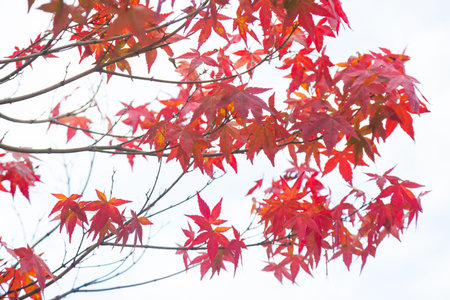 Spring change color