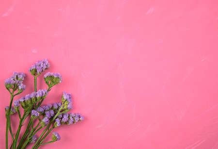 Top view of purple flowers, botany flat lay on pink grunge scratched acrylic painted canvas texture background. For your mockup, overlay, any celebrations, anniversary. Copy space for text or image.の写真素材