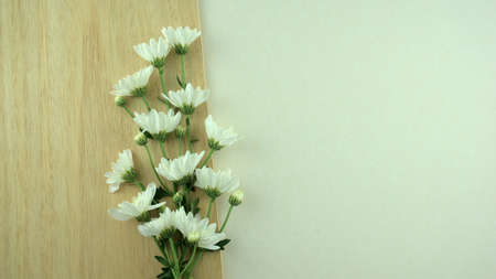 White flowers flat lay on wooden plate and gray white background. Minimal style.の写真素材